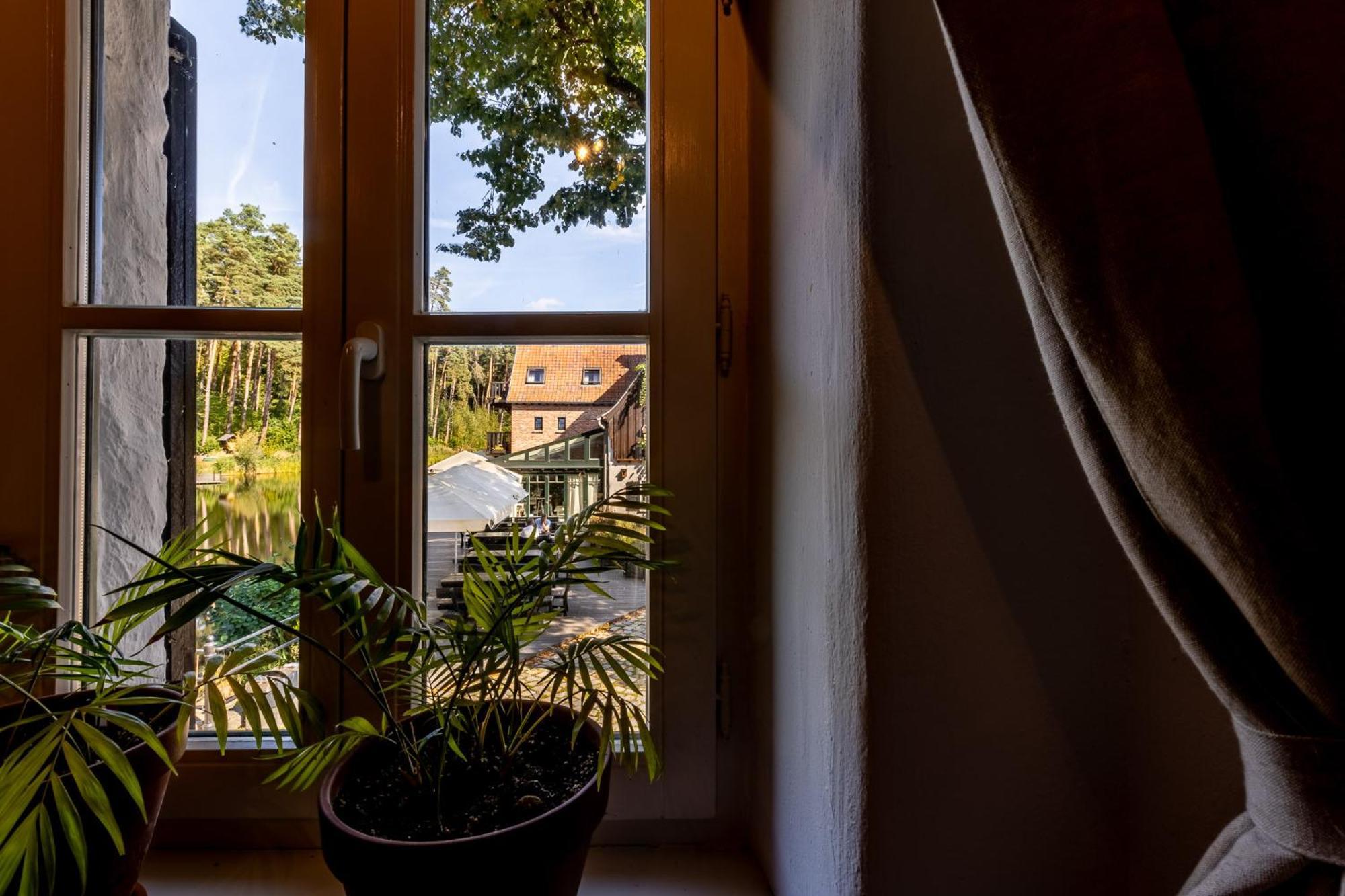 Gosciniec Pod Zajacem Bed & Breakfast โอเลสนิกา ภายนอก รูปภาพ